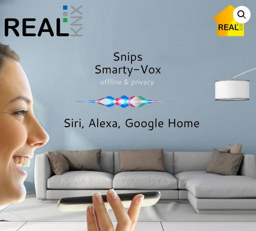 RealKNX Air для управления голосом